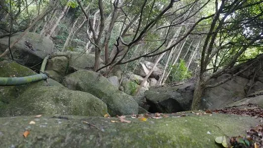 北京到白山物流专线_北京至白山货运公司