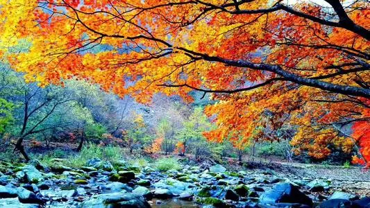 北京到本溪物流专线_北京至本溪货运公司