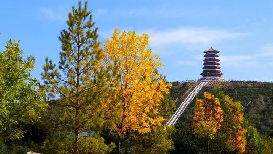 北京到固原物流专线_北京至固原货运公司