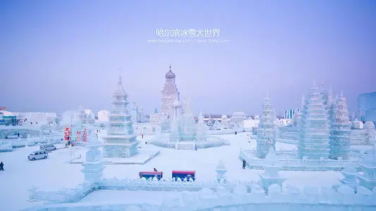 北京到尚志物流专线_北京至尚志货运公司