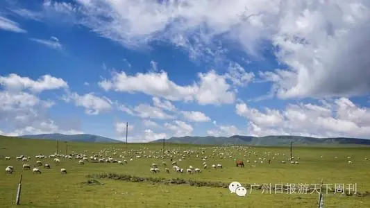 北京到海西物流专线_北京至海西货运公司