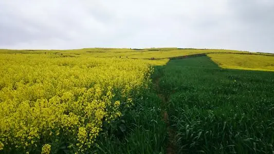 北京到城固县物流专线_北京至城固县货运公司