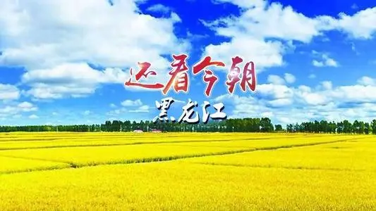 北京到黑龙江物流专线_北京至黑龙江货运公司