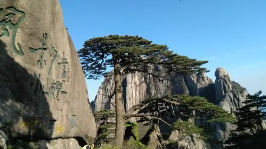 北京到黄山物流专线_北京至黄山货运公司