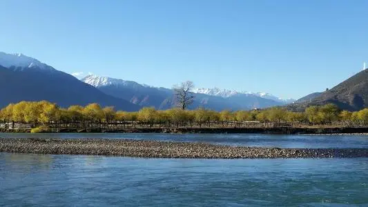 北京到林芝物流专线_北京至林芝货运公司