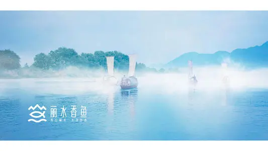 北京到遂昌县物流专线_北京至遂昌县货运公司