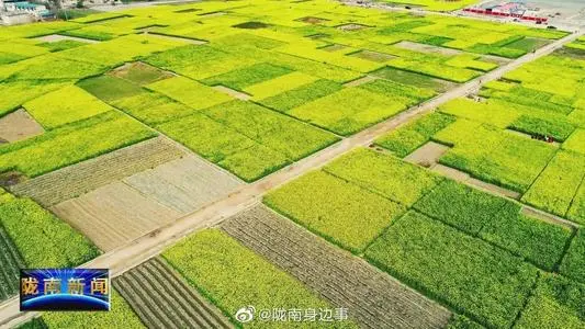 北京到陇南物流专线_北京至陇南货运公司