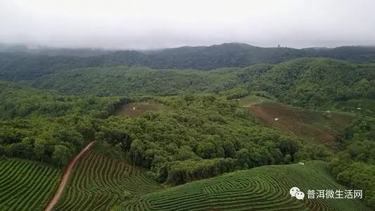 北京到普洱物流专线_北京至普洱货运公司
