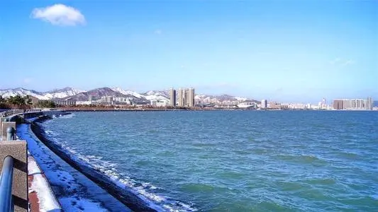 北京到青岛市北区物流专线_北京至青岛市北区货运公司