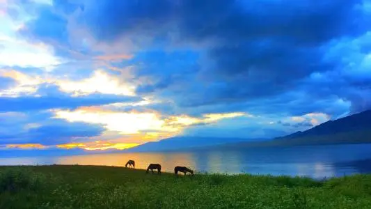 北京到青海物流专线_北京至青海货运公司