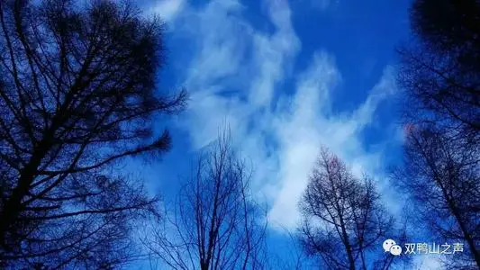 北京到双鸭山物流专线_北京至双鸭山货运公司