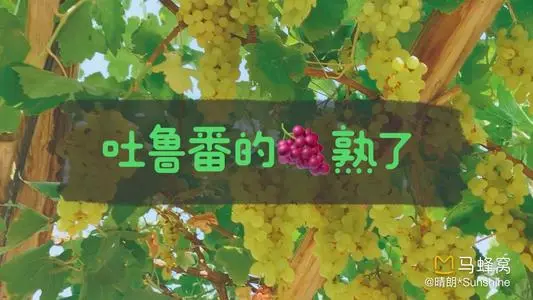 北京到吐鲁番物流专线_北京至吐鲁番货运公司