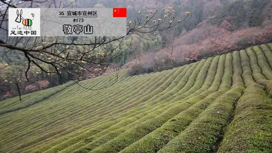 北京到宣城物流专线_北京至宣城货运公司